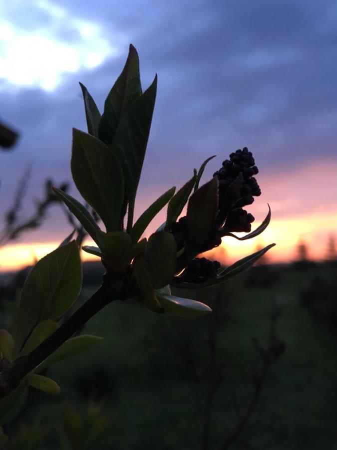 Wygodny Murowany Domek- Nowy Dąbki Buitenkant foto