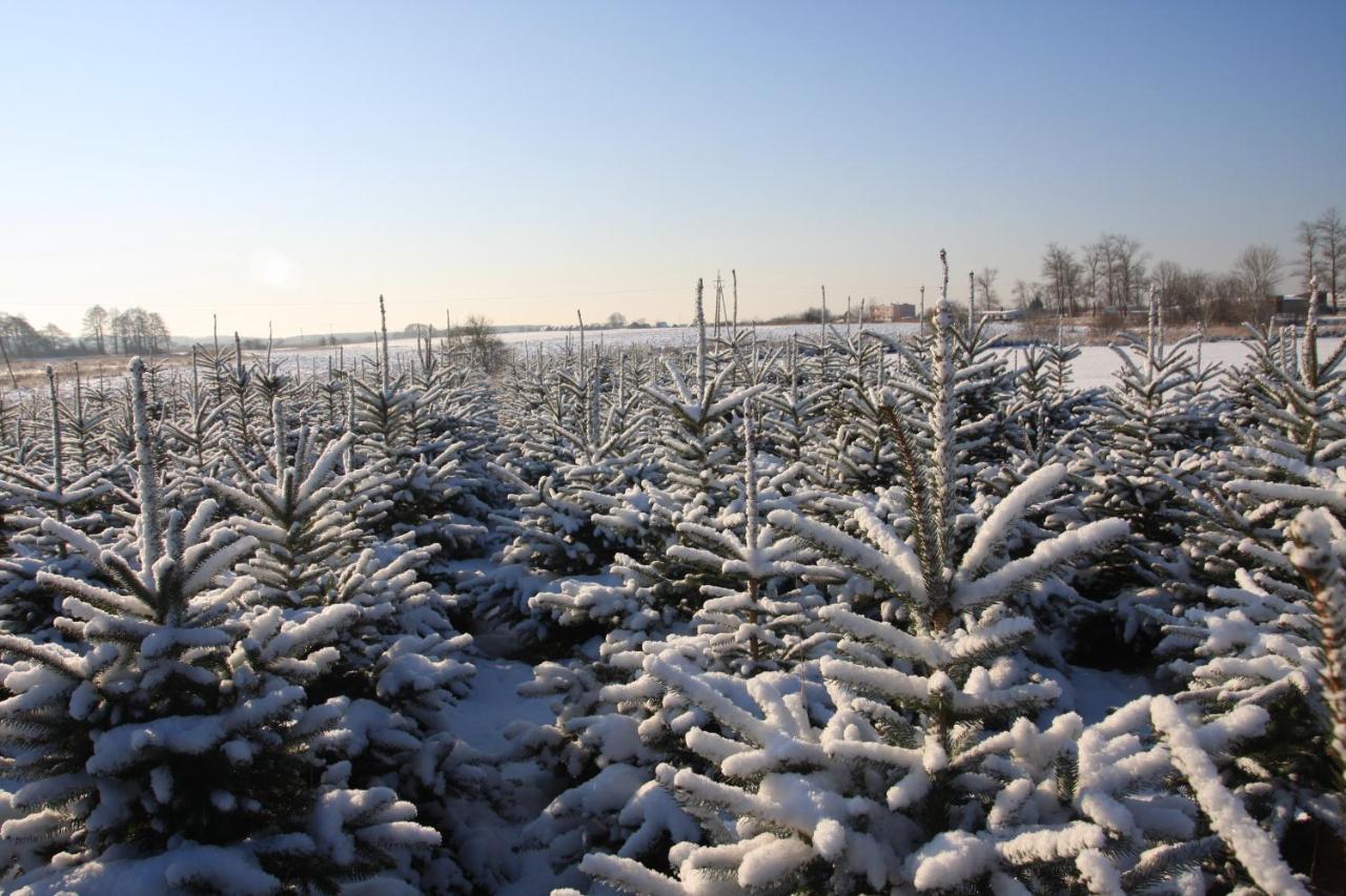 Wygodny Murowany Domek- Nowy Dąbki Buitenkant foto