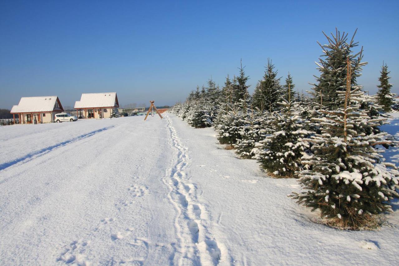 Wygodny Murowany Domek- Nowy Dąbki Buitenkant foto