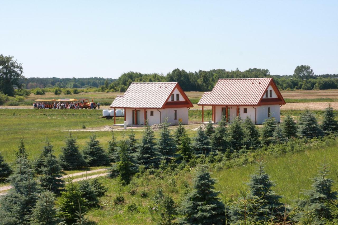 Wygodny Murowany Domek- Nowy Dąbki Buitenkant foto